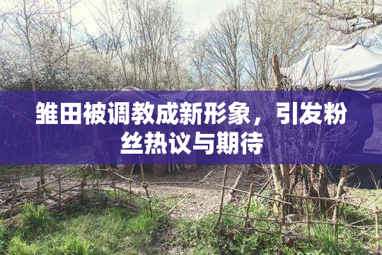 雏田被调教成新形象，引发粉丝热议与期待