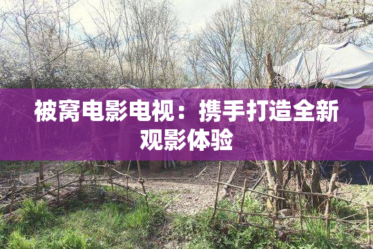 被窝电影电视：携手打造全新观影体验