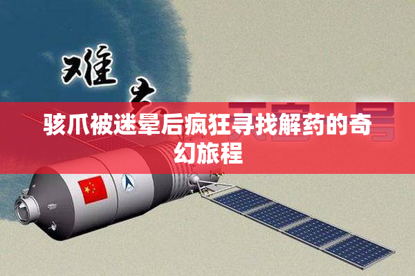 骇爪被迷晕后疯狂寻找解药的奇幻旅程