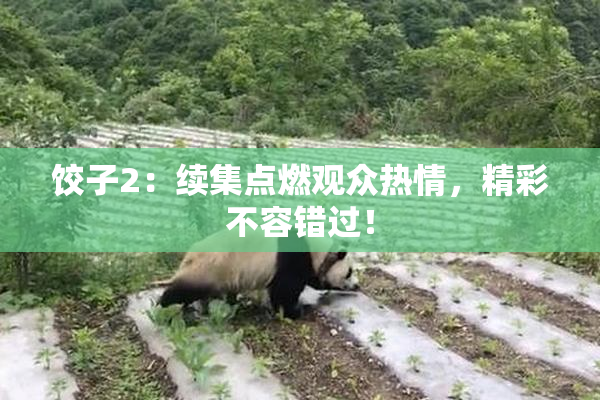 饺子2：续集点燃观众热情，精彩不容错过！