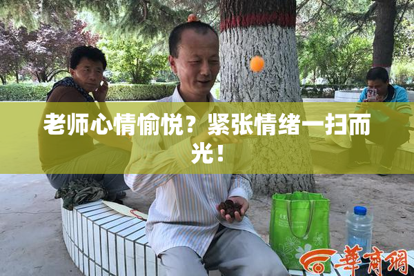 老师心情愉悦？紧张情绪一扫而光！