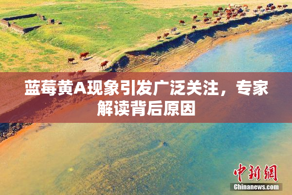 蓝莓黄A现象引发广泛关注，专家解读背后原因