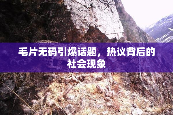 毛片无码引爆话题，热议背后的社会现象