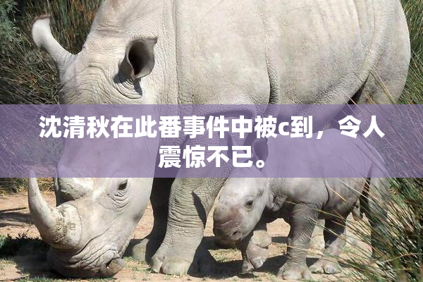 沈清秋在此番事件中被c到，令人震惊不已。