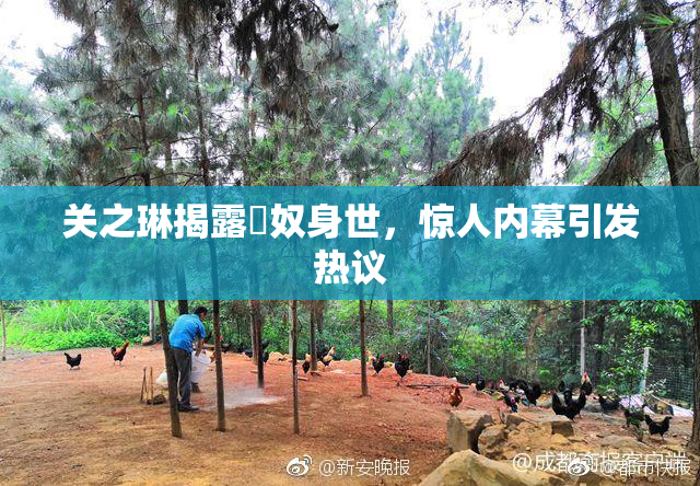 关之琳揭露婬奴身世，惊人内幕引发热议