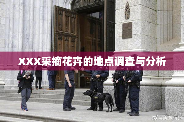 XXX采摘花卉的地点调查与分析