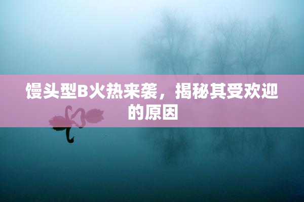 馒头型B火热来袭，揭秘其受欢迎的原因