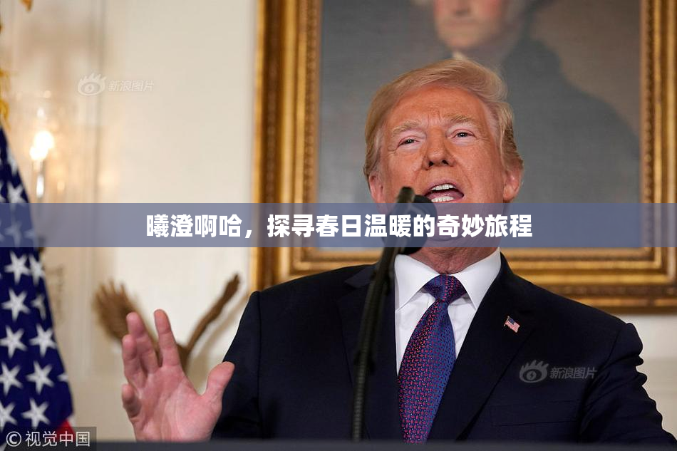 曦澄啊哈，探寻春日温暖的奇妙旅程