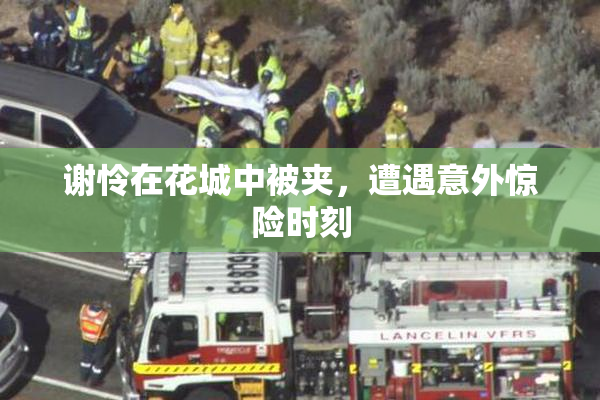 谢怜在花城中被夹，遭遇意外惊险时刻