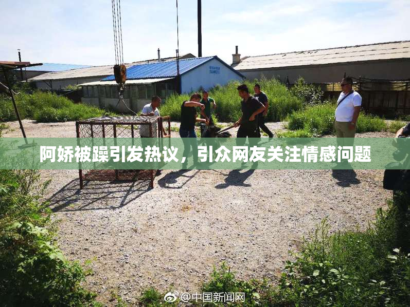 阿娇被躁引发热议，引众网友关注情感问题