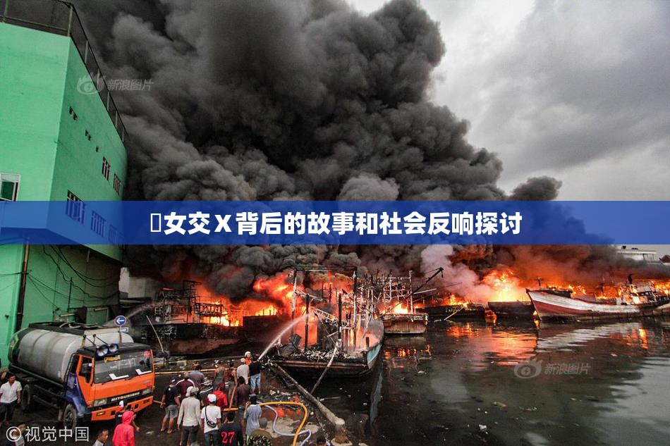 乣女交Ⅹ背后的故事和社会反响探讨