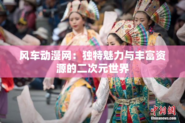 风车动漫网：独特魅力与丰富资源的二次元世界