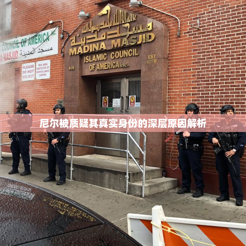 尼尔被质疑其真实身份的深层原因解析