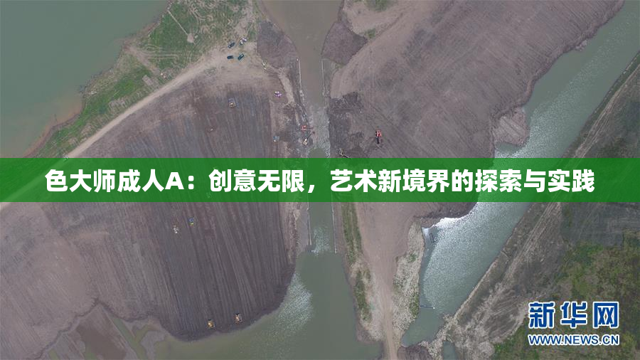 色大师成人A：创意无限，艺术新境界的探索与实践