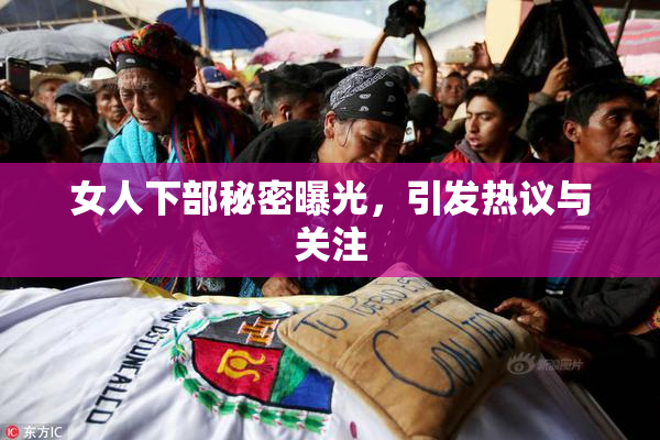女人下部秘密曝光，引发热议与关注