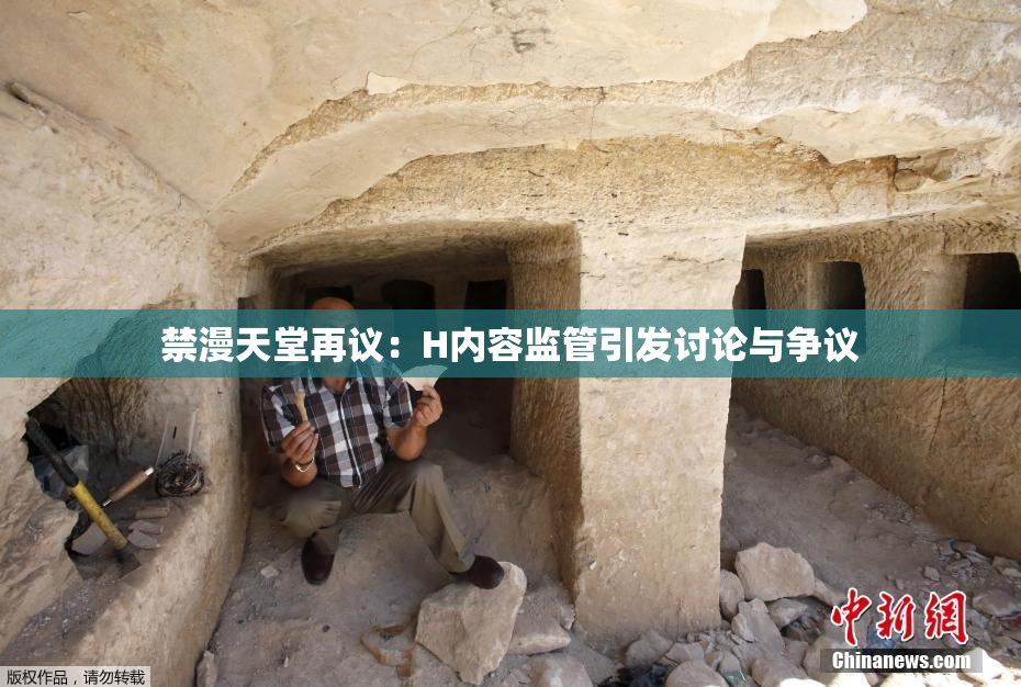 禁漫天堂再议：H内容监管引发讨论与争议