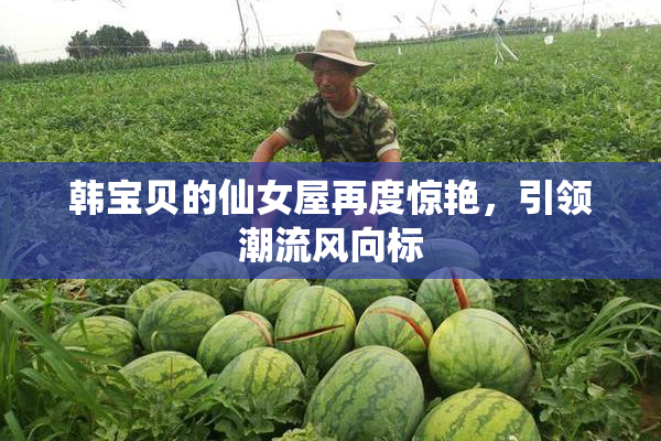 韩宝贝的仙女屋再度惊艳，引领潮流风向标