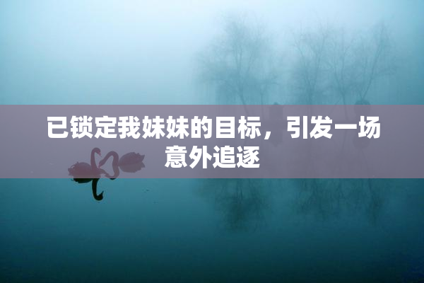 已锁定我妹妹的目标，引发一场意外追逐