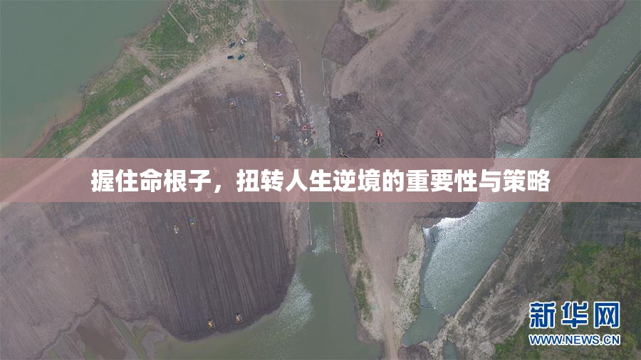 握住命根子，扭转人生逆境的重要性与策略