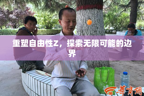 重塑自由性Z，探索无限可能的边界