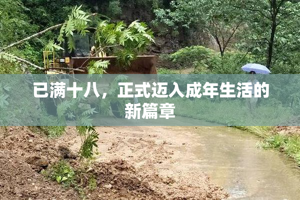 已满十八，正式迈入成年生活的新篇章