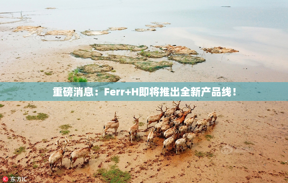 重磅消息：Ferr+H即将推出全新产品线！