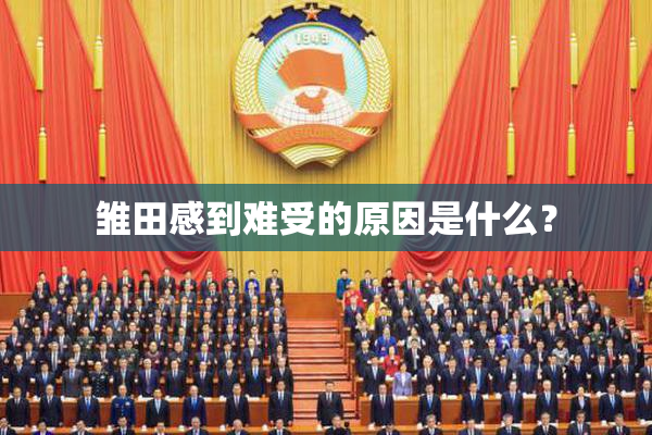 雏田感到难受的原因是什么？