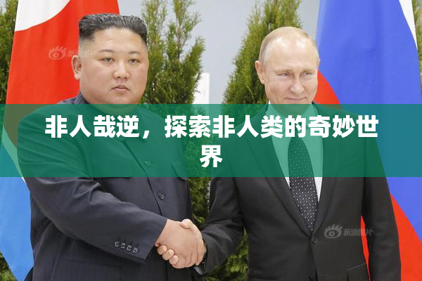 非人哉逆，探索非人类的奇妙世界