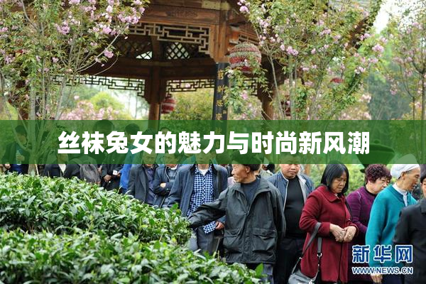 丝袜兔女的魅力与时尚新风潮