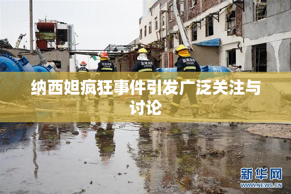 纳西妲疯狂事件引发广泛关注与讨论
