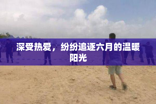 深受热爱，纷纷追逐六月的温暖阳光