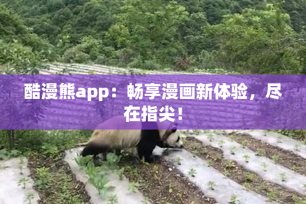 酷漫熊app：畅享漫画新体验，尽在指尖！