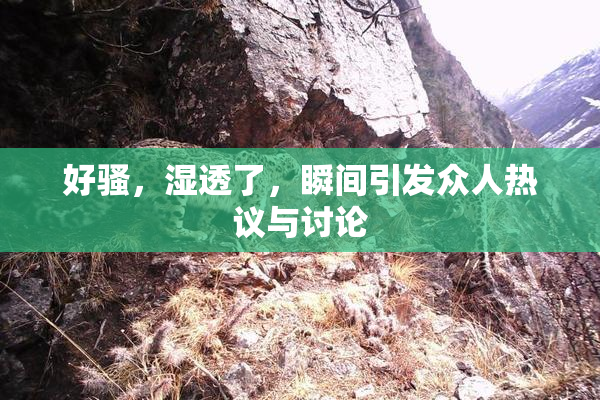 好骚，湿透了，瞬间引发众人热议与讨论