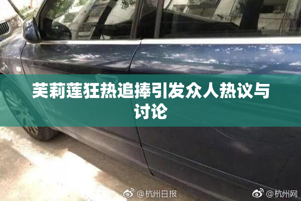 芙莉莲狂热追捧引发众人热议与讨论