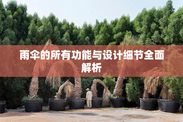 雨伞的所有功能与设计细节全面解析