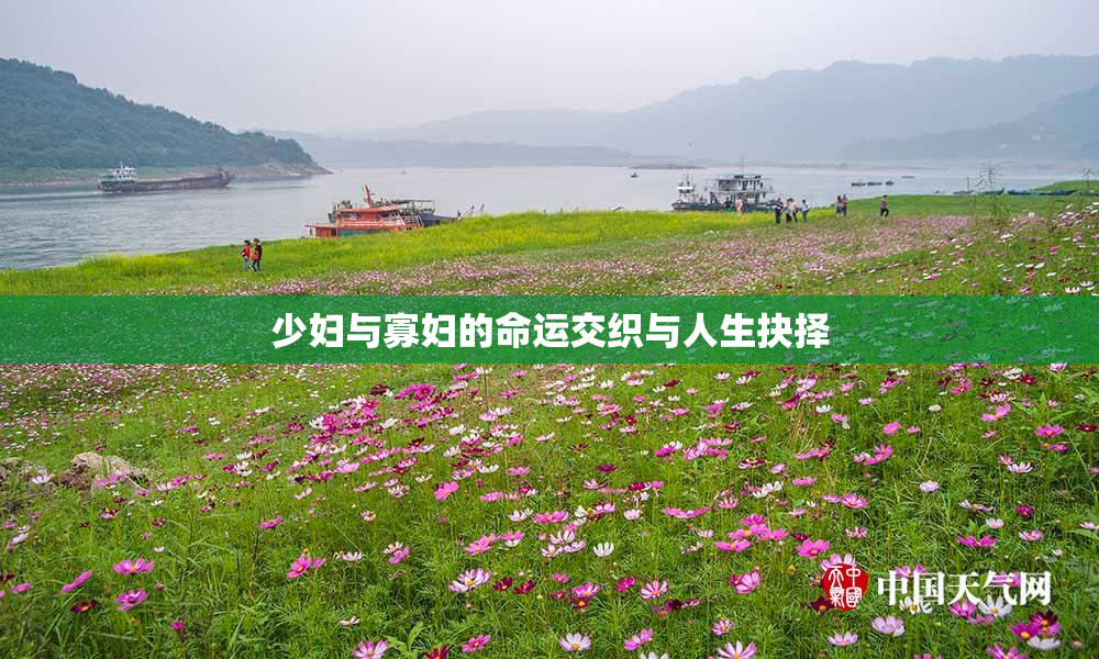 少妇与寡妇的命运交织与人生抉择