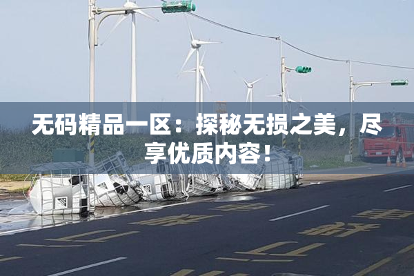 无码精品一区：探秘无损之美，尽享优质内容！