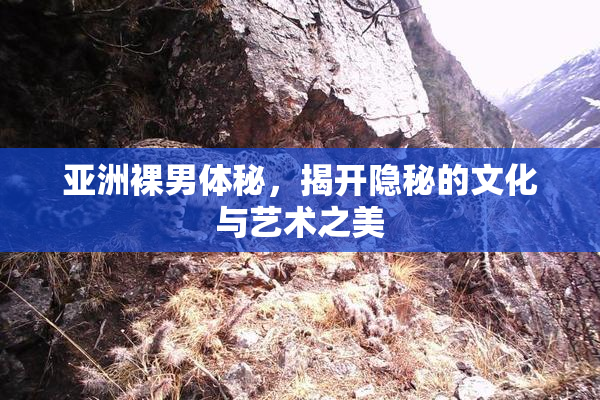 亚洲裸男体秘，揭开隐秘的文化与艺术之美