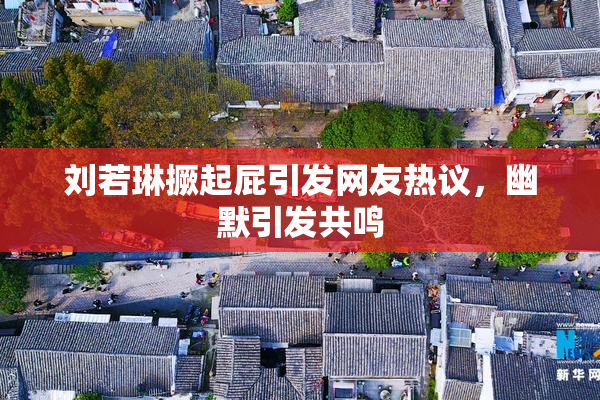 刘若琳撅起屁引发网友热议，幽默引发共鸣