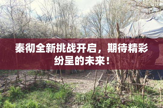秦彻全新挑战开启，期待精彩纷呈的未来！