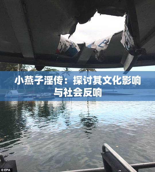 小燕子淫传：探讨其文化影响与社会反响