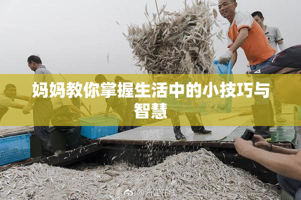 妈妈教你掌握生活中的小技巧与智慧