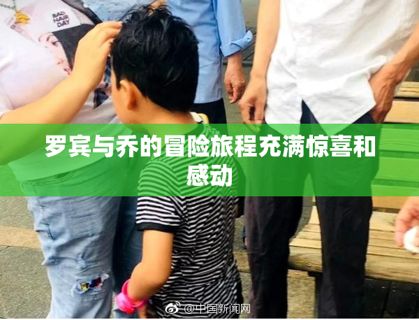 罗宾与乔的冒险旅程充满惊喜和感动