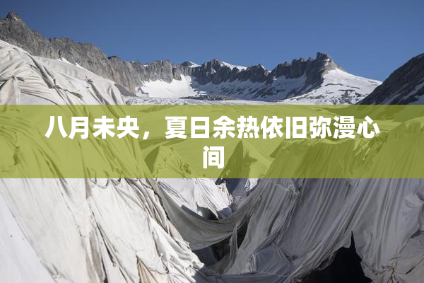 八月未央，夏日余热依旧弥漫心间
