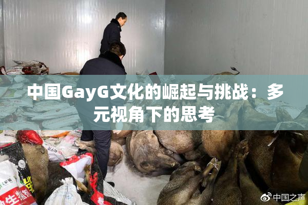 中国GayG文化的崛起与挑战：多元视角下的思考