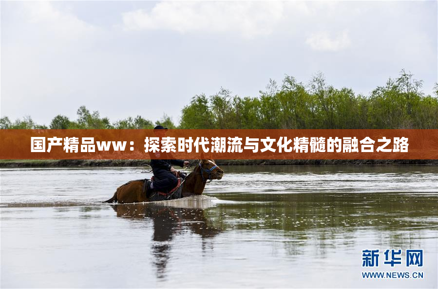 国产精品ww：探索时代潮流与文化精髓的融合之路