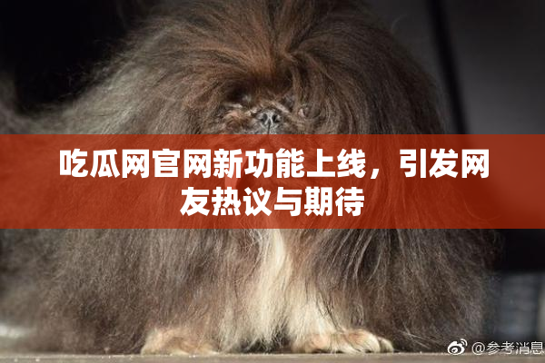 吃瓜网官网新功能上线，引发网友热议与期待