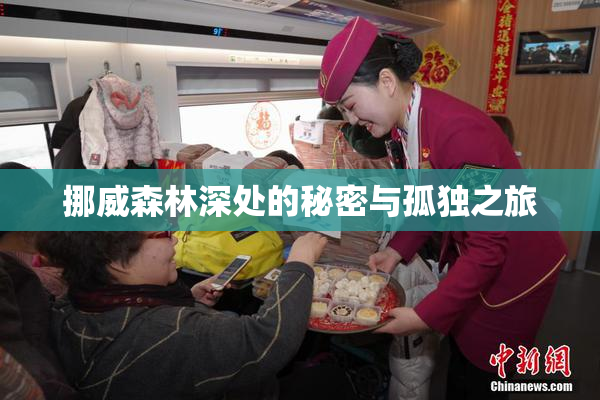 挪威森林深处的秘密与孤独之旅
