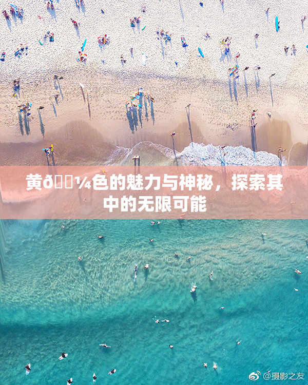 黄🌼色的魅力与神秘，探索其中的无限可能