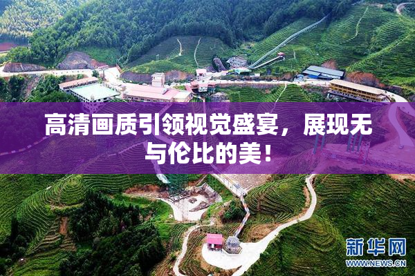 高清画质引领视觉盛宴，展现无与伦比的美！